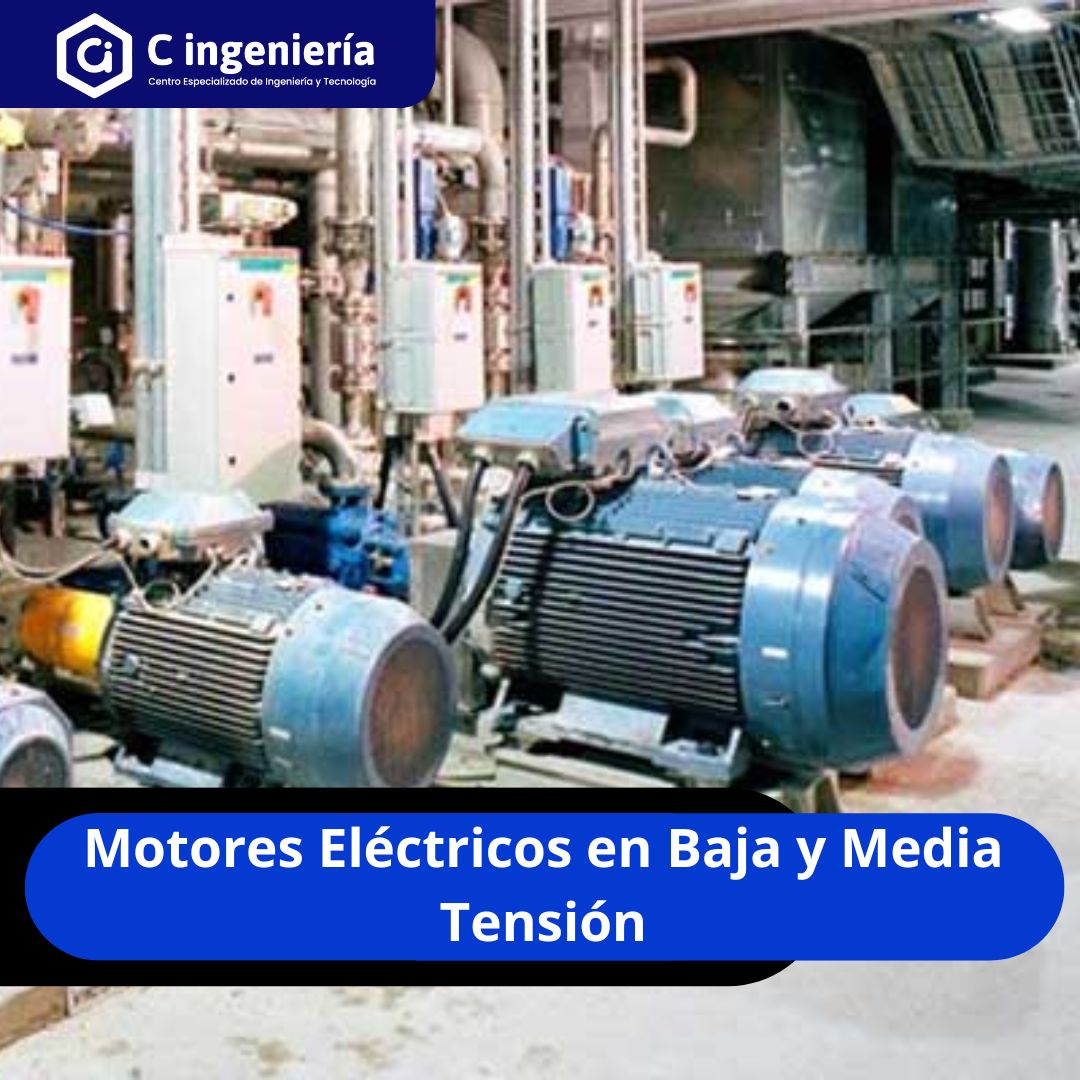 Motores Eléctricos en Baja y Media Tensión