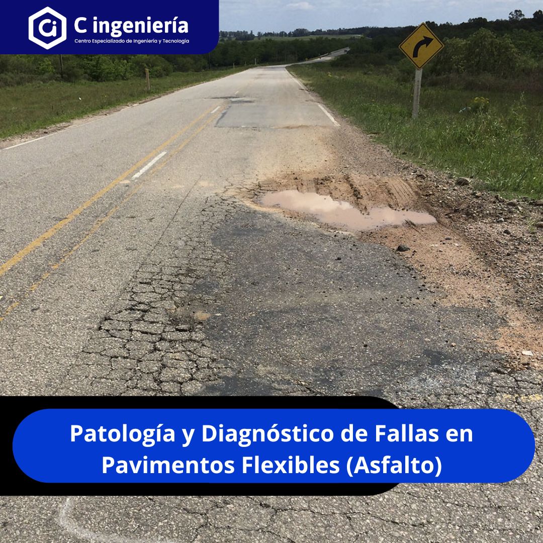 Patología y Diagnóstico de Fallas en Pavimentos Flexibles (Asfalto)