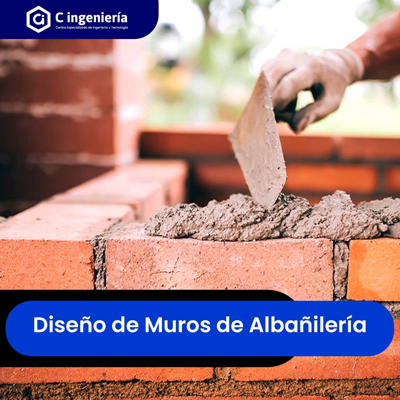 Introducción al Diseño de Muros de Albañilería