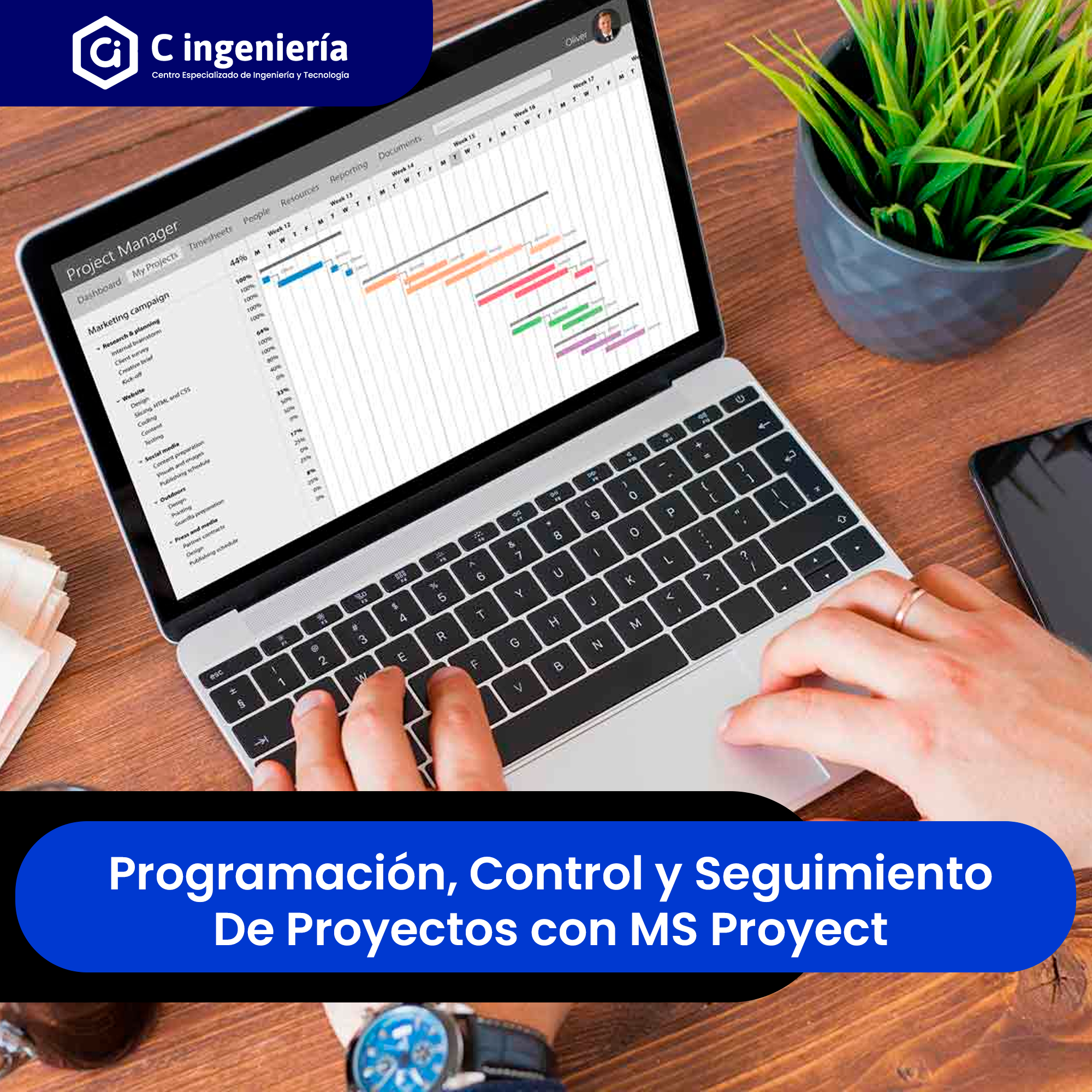 Programación, Control y Seguimiento de Proyectos con MS Project